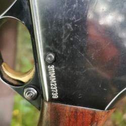 Carabine semi auto