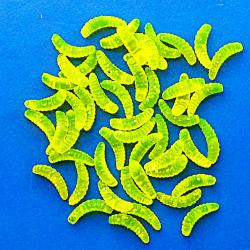 50 LARVES ASTICOTS - plastique   - ljv
