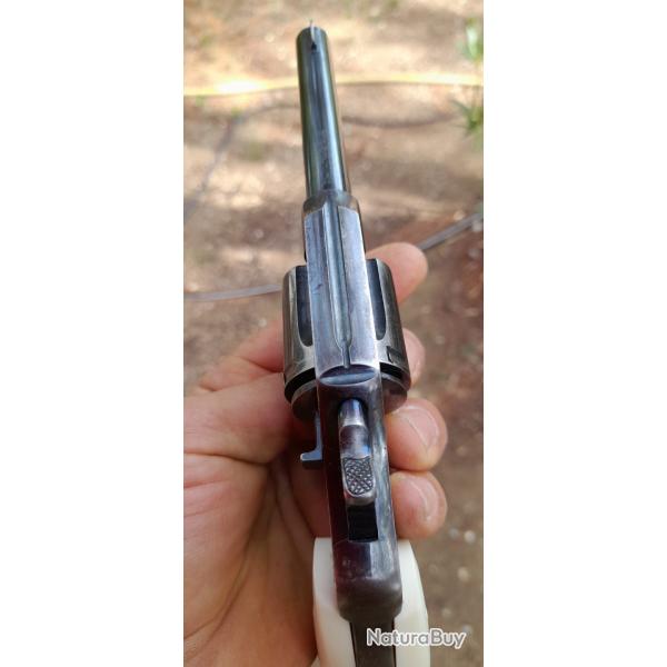 Colt new police positive