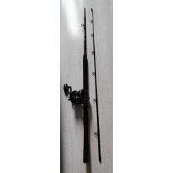 Canne a pêche PENN WARFARE COMBO 30LWLH