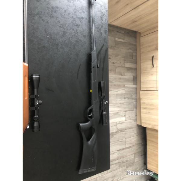 Carabine  plomb