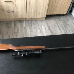 Carabine 22 lr