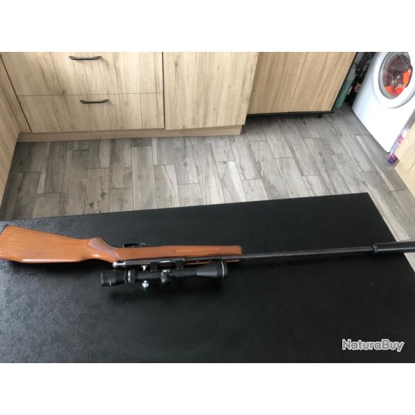 Carabine 22 lr