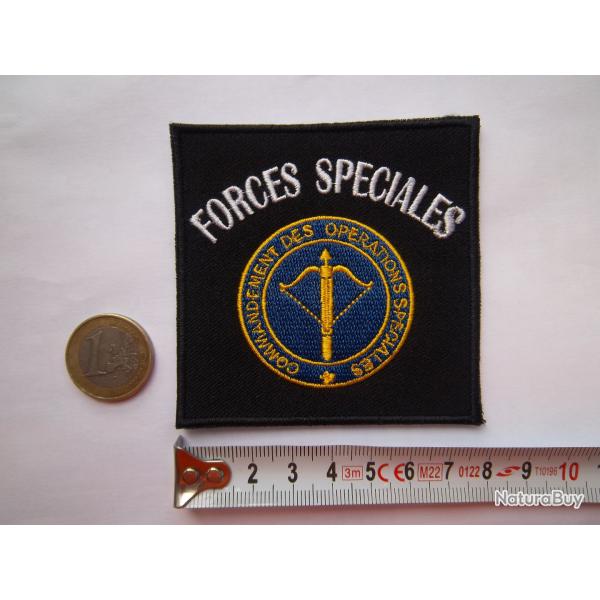 écusson militaire commandement des forces spéciales insigne collection