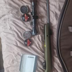 Carabine à plomb