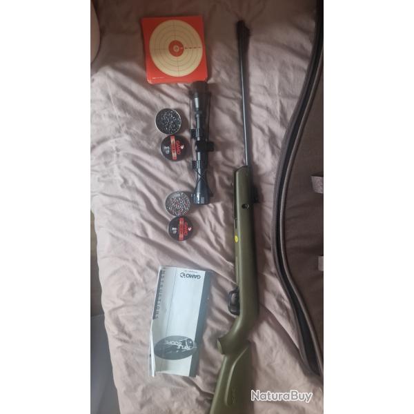 Carabine  plomb