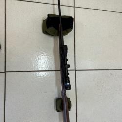 Carabine Savage Win 243