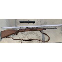 Carabine Mauser 66S