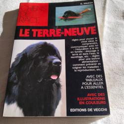 Chien de race,le terre-neuve