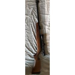 4,5 mm gamo avec lunette gamo