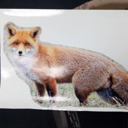 AUTOCOLLANT RENARD