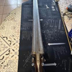 Fusil juxtaposés à chiens extérieurs