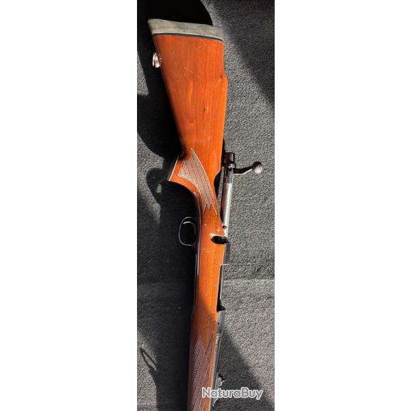 Remington 700 300WM