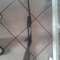 Carabine à plomb 4.5mm diane Eureka