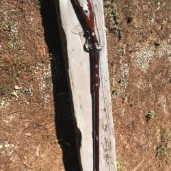 Pennsylvania Dixie a Percussion de Cal. 45