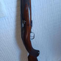 carabine semi auto