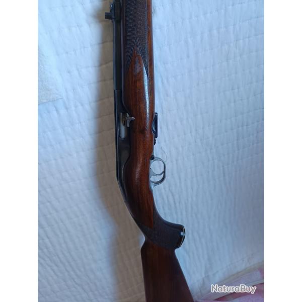 carabine semi auto