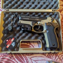 Gamo PT 80