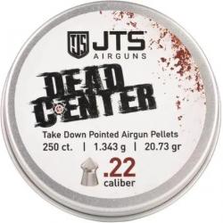 Plombs JTS Dead Center Precision 5.5 mm 20.73 grains