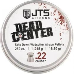 Plombs JTS Dead Center Precision 5.5 mm 18.80 grains