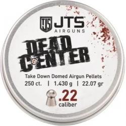 Plombs JTS Dead Center Precision 5.5 mm 22.07 grains