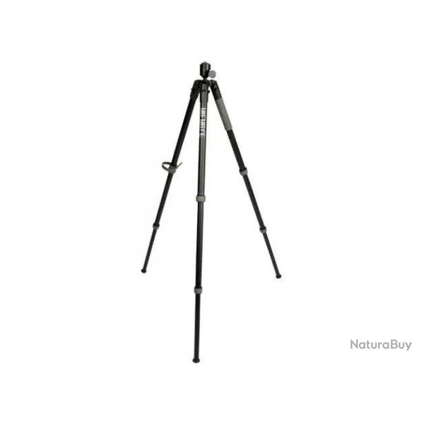 Trpied seul Bog Infinite Arca Swiss