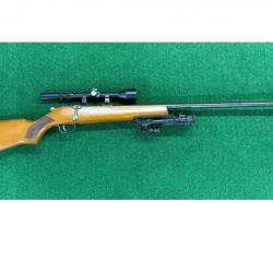 Vend carabine 22lr manu arme  avec rds et bipied
