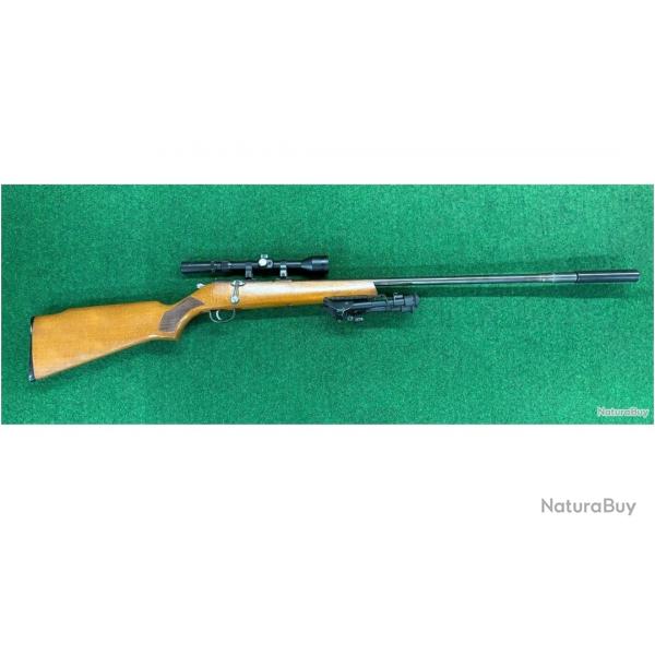 Vend carabine 22lr manu arme  avec rds et bipied