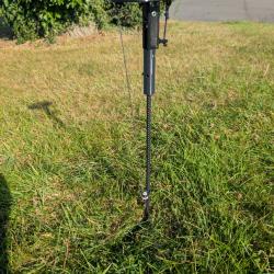 Glaneur au sol pour la chasse du pigeon Ramier/Palombe