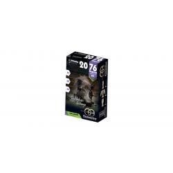 Balles Sauvestre BFS Sans Plomb 20/76 20,6g