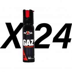 Pack bombes de défense gaz CS 25 ml x24