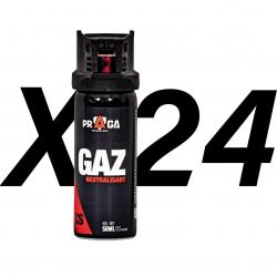 Pack bombes de défense gaz CS 50 ml x24