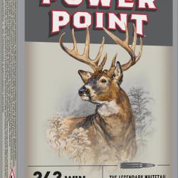 Balles de chasse Winchester Power Point 100 gr