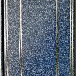Les trois mousquetaires - Alexandre Dumas - Tome II