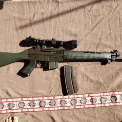 carabine SIG 540 en 223 avec lunette
