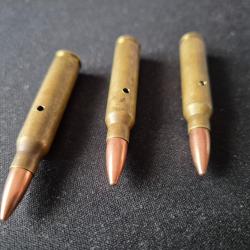 223 Rem. neutralisé sellier et bellot, winchester, geco ect cal 5,56 pour colt AR15, s&w VTR R15