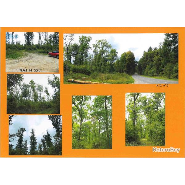 20,8935 ha - FORT DES GRANDS BOIS - ( 52 ) - HAUTE - MARNE