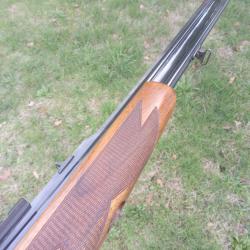 Express sabatti 8x57jrs