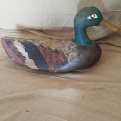 Appelant canard début 20 ème