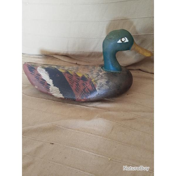 Appelant canard dbut 20 me