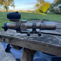 Primary Arms Slx + Vortex crossfire