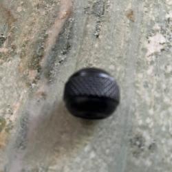 Boule métallique gravée  en M6 pour Blaser ou autres