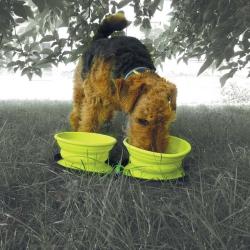 Double gamelle chien voyage rétractable silicone 700ml avec zip