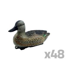 Lot de 48 Appelants Sarcelle d'hiver femelle HD 30 x 17cm