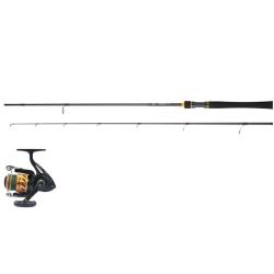 Combo Spinning : Canne Daiwa 1.83m - 5/14gr + tresse Carnassiers Leurres Légers