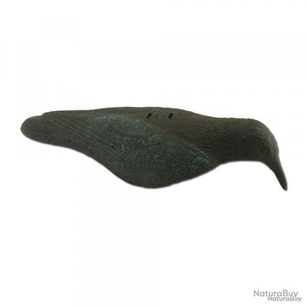 Lot de 20 Appelants Corbeau coquille