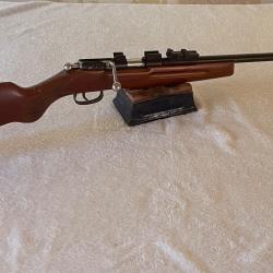 Carabine Monocoup MANU-ARM .22 lr 1 sans prix de réserve !