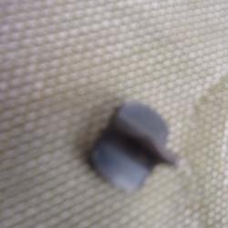 guidon  Browning SA Smokeless   .22