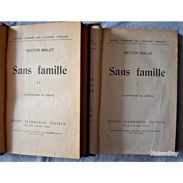 Sans famille - Hector Malot - Tomes I & II