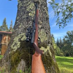 Carabine semi auto HK 940, calibre 7x64, crosse bois poncer huilé